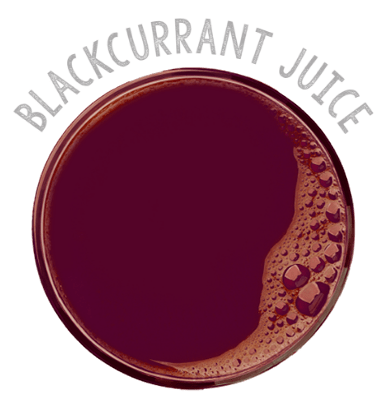 Blackcurrant juice - Organic concentrate - jp-nz