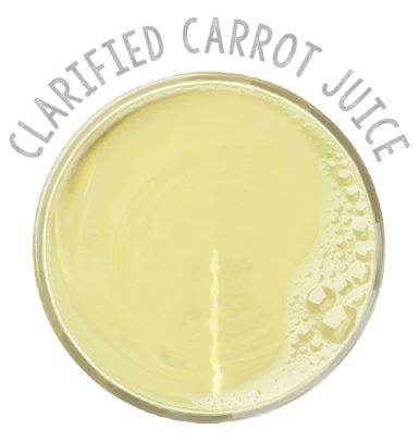 Clarified carrot juice - Organic concentrate - jp-nz
