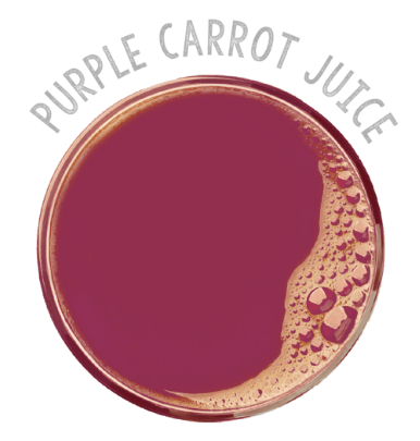Purple carrot juice - Organic concentrate - jp-nz