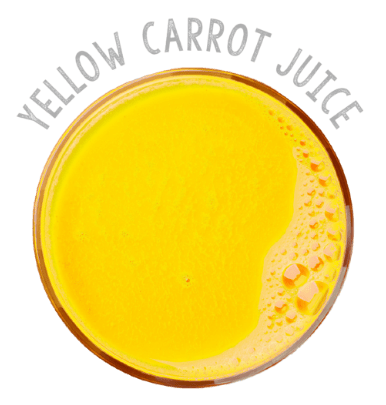 Yellow carrot juice - Organic concentrate - jp-nz