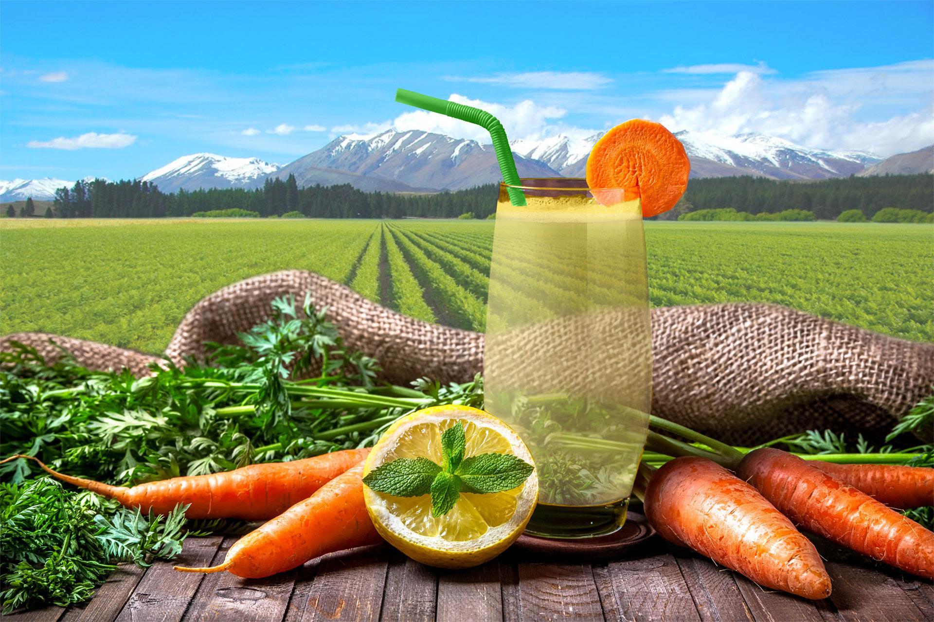 Clarified Carrot Juice Concentrate Juice Products New Zealand