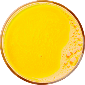 Yellow Carrot Juice - Juice Products New Zealand (JP-NZ)